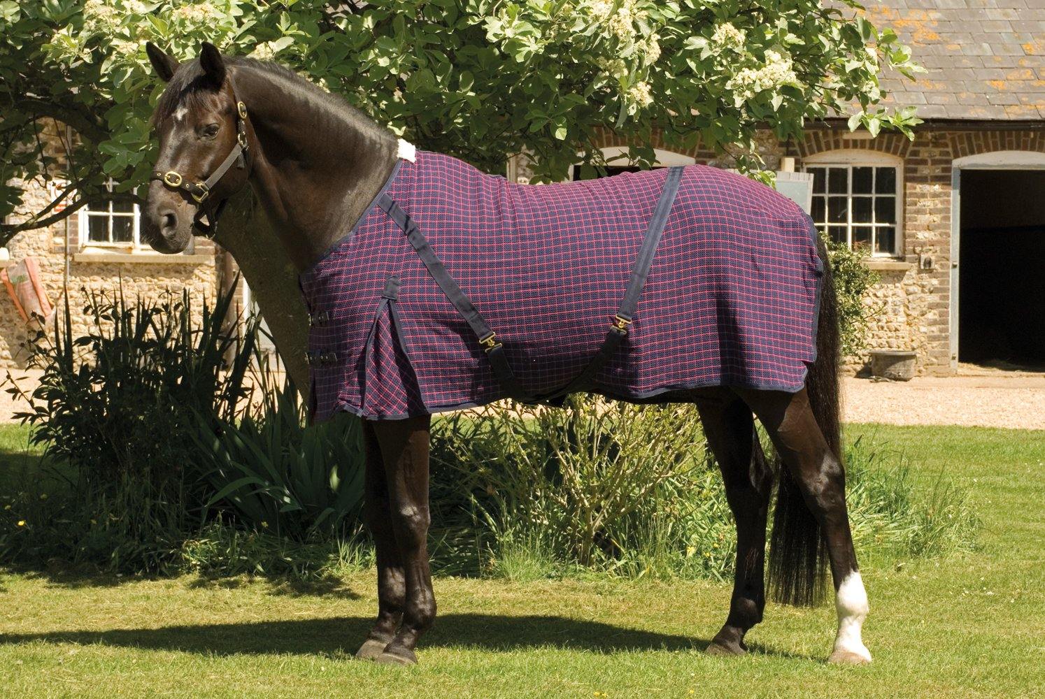 Rhinegold Sechante Waffle - SHOP HORSE